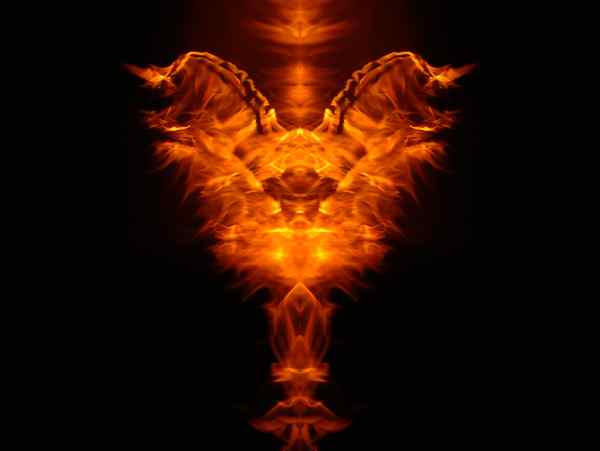 firemonkey